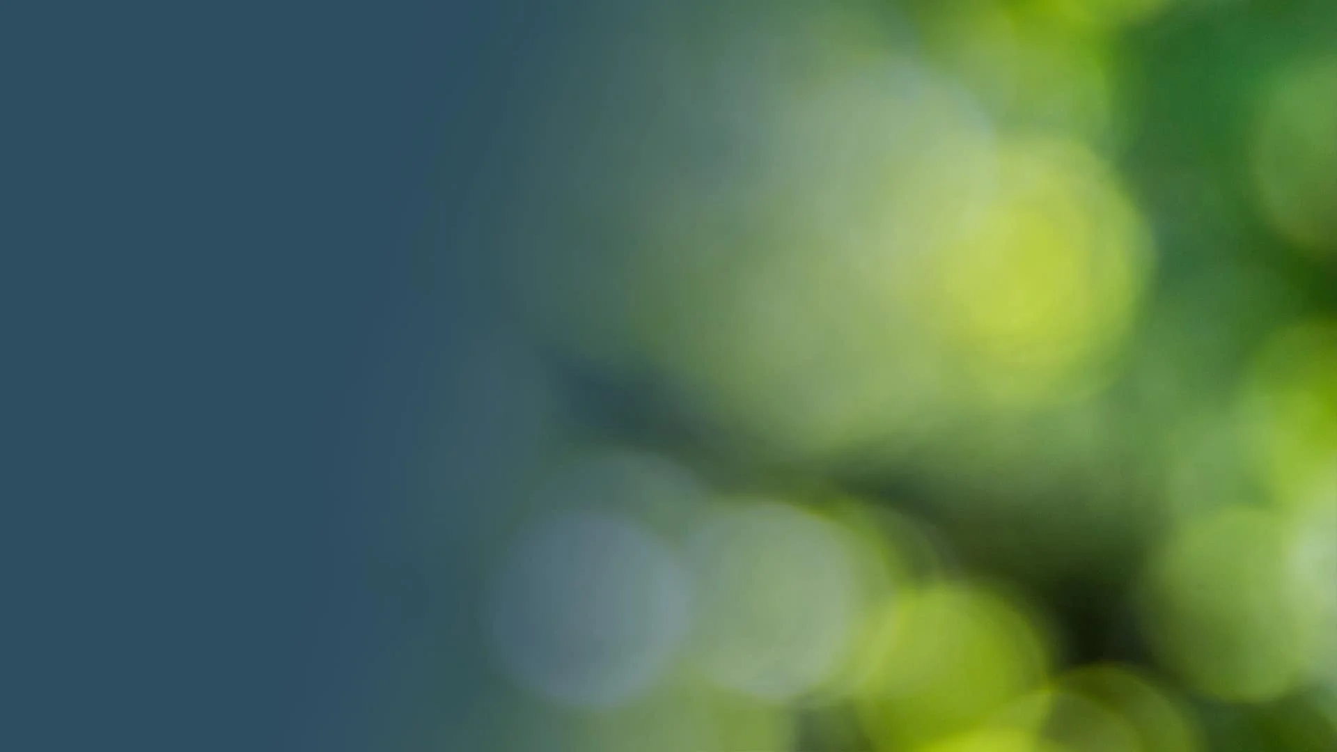 background for slider